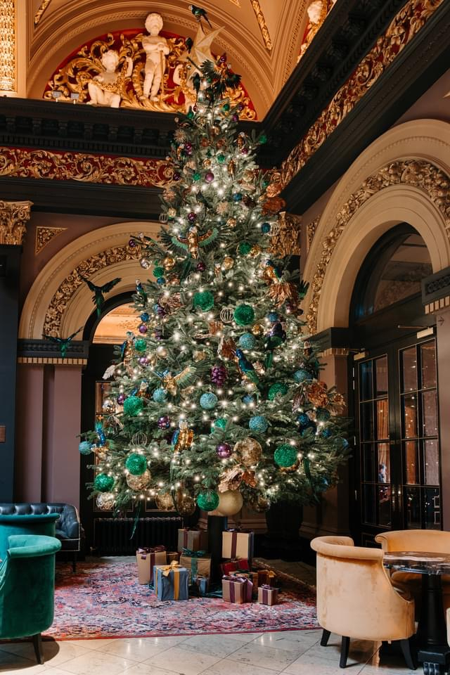 Potted Xmas Trees 